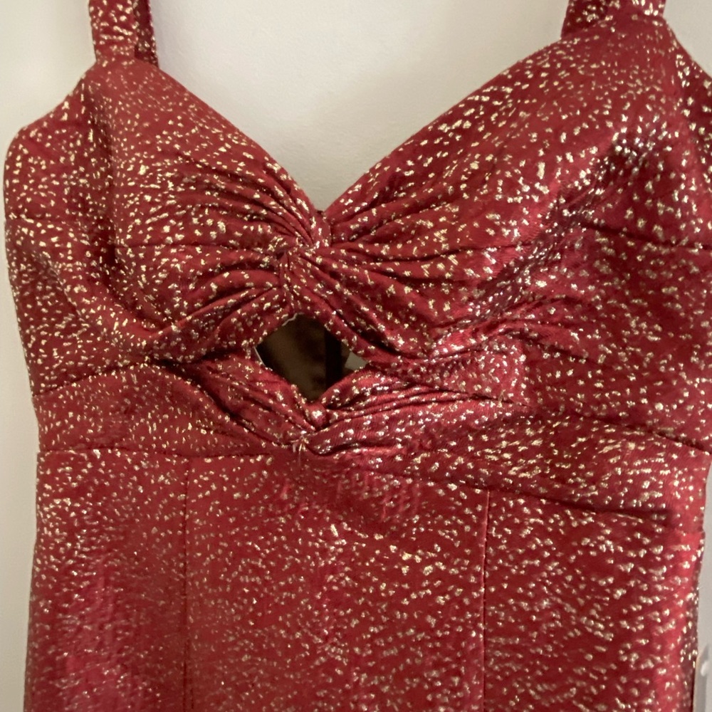 ML Monique Lhuillier Flounced Maxi Dress size 2p new with tag - Picture 9 of 9